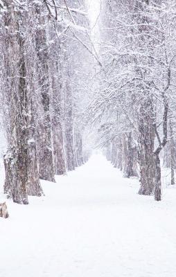 Прикрепленное изображение: VYB9_Nk22GY.jpg